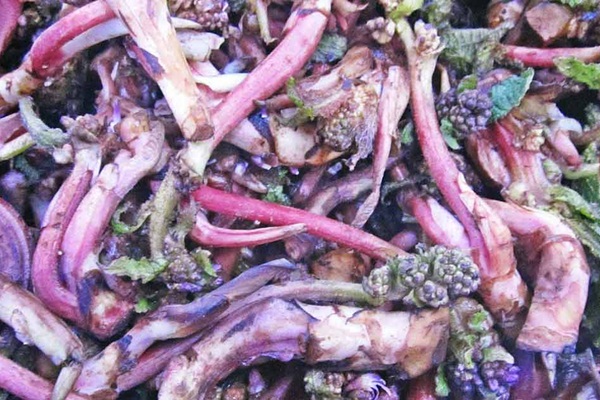 Depresyona iyi geliyor