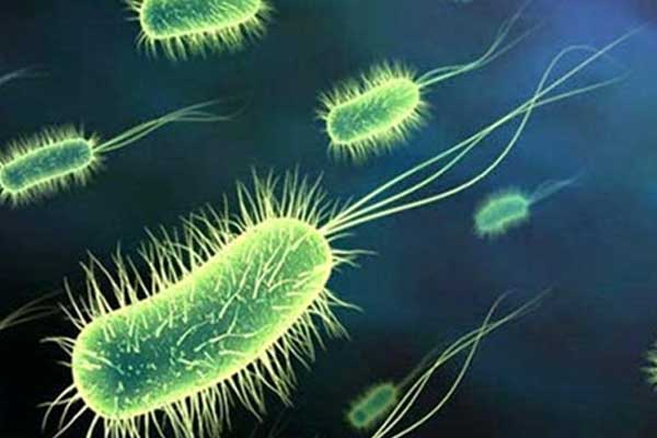 Tuvaletlerden daha tehlikeli olan kirli eşyaların listesi