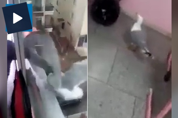 Camdan martı yakalayan liseli genç ve sınıfta korku dolu anlar