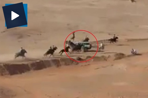 Yarışan atlar ile çarpışan polis aracı