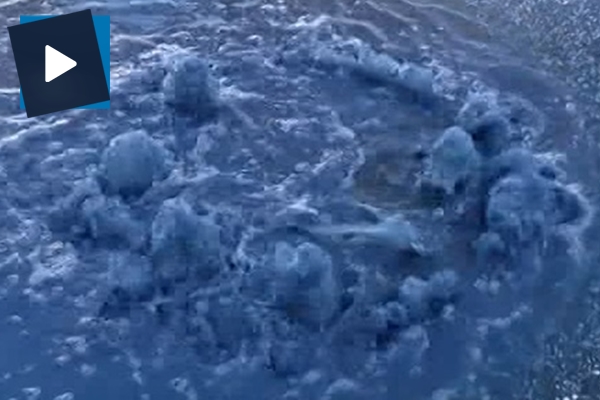 Sokaktaki lacivert su vatandaşlarda merak uyandırdı