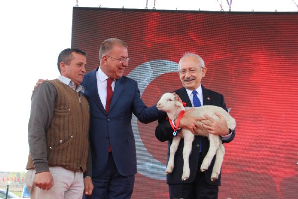 CHP lideri Kemal Kılıçdaroğlu'na 'kuzu' sürprizi