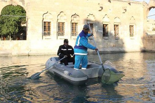 8 bin lira değerindeki yüzük Balıklıgöl'e düştü