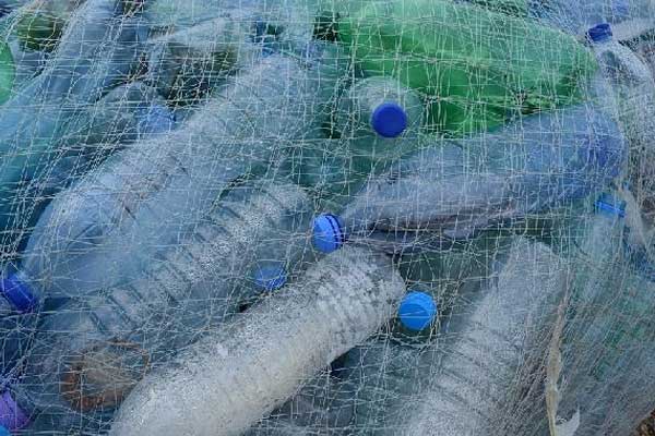 İngiltere denizindeki atık miktarında artış