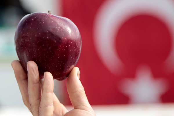 Kahramanmaraş'ta elma festivali düzenlendi