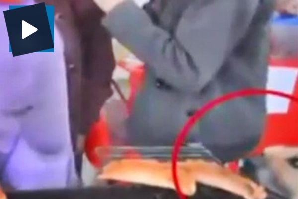 Köpeğin yemek hırsızlığı kamerada