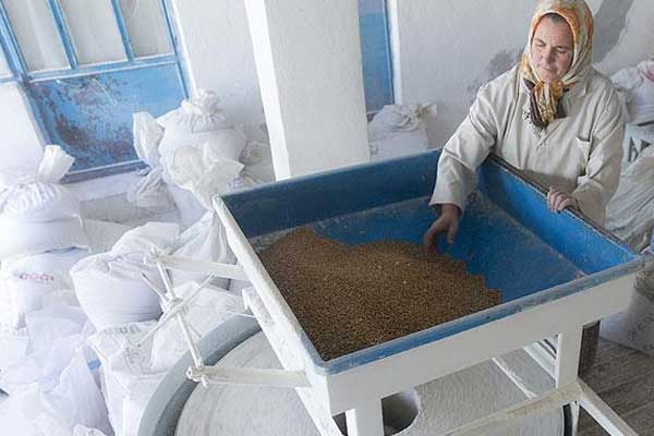 150 yıllık değirmenin çarkını iki çocuk annesi döndürüyor