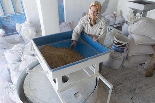 150 yıllık değirmenin çarkını döndürüyor