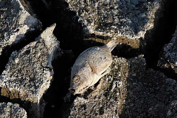 'İklim değişikliği 100 milyon insanı yoksul bırakacak'