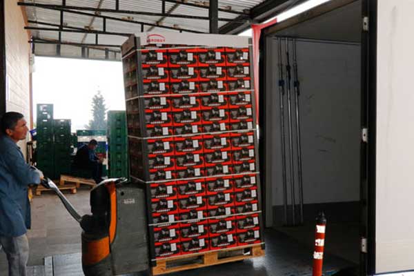 Rusya'ya ilk domates ihracatı yapıldı