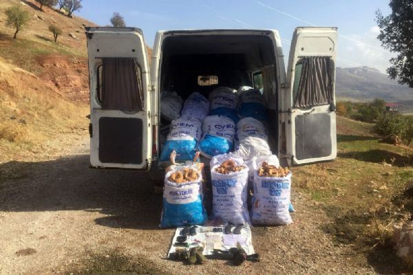 Diyarbakır'da 7 ton esrar ele geçirildi, 1 terörist öldürüldü