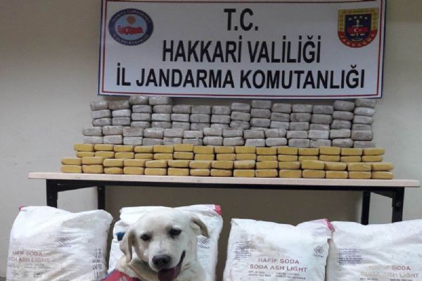 144 kilogram eroin ele geçirildi