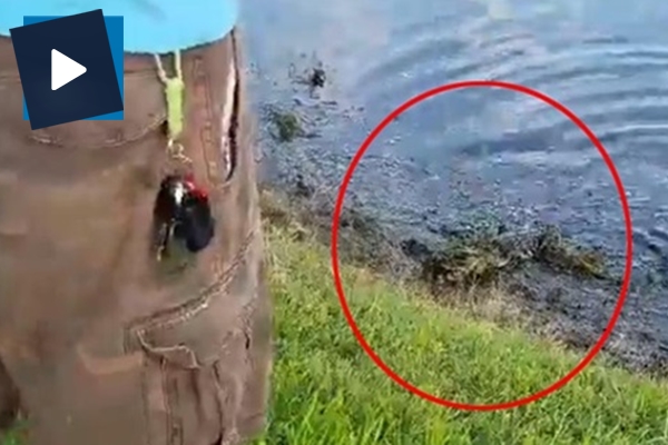 Balıkçı, oltasına takılan şeyi görünce şok oldu