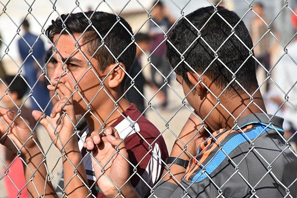Haviceli göçmenler yuvalarına dönmek istiyor