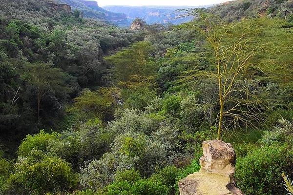 Kenya'nın doğa harikası