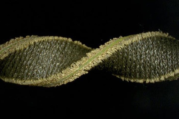 Yıkanmaya dayanıklı elektronik devreler üretildi