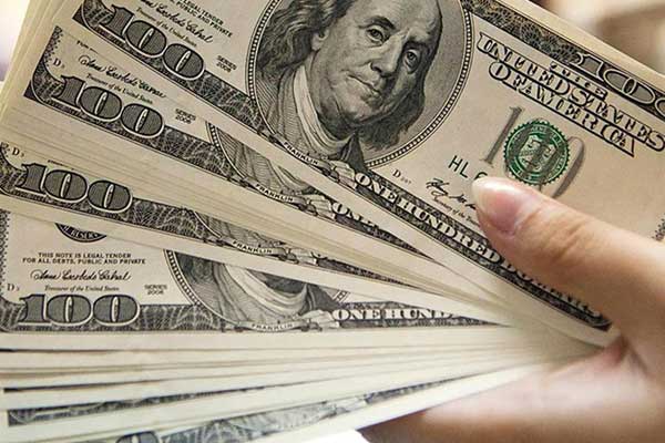 Merkez Bankası yıl sonu dolar tahminini açıkladı