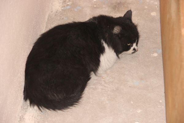 İplik yüzünden ayağından oldu