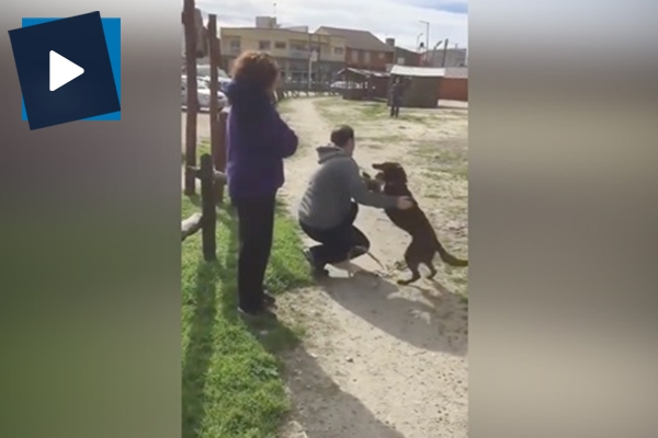 3 yıl sonra sahibiyle buluşan köpek