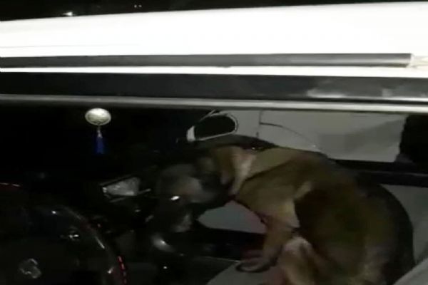 'Kayra'dan uyuşturucu tacirlerine darbe