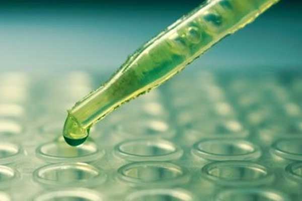 Evlilik öncesi SMA testi yapılacak