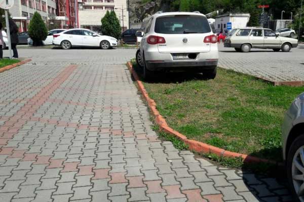 Rusya'da çimlere park eden sürücüye para cezası