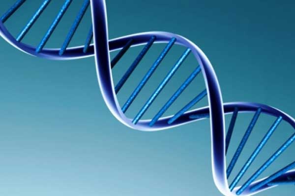 Uzmanlar araştırdı: O gen obezite yapıyor