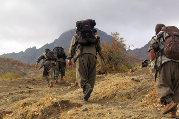 Üst düzey iki PKK'lı öldürüldü