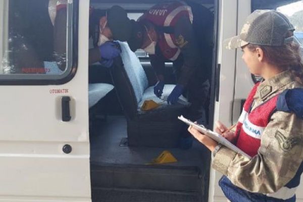 Amasya'da hayvan hırsızlığı: 2 kişi tutuklandı