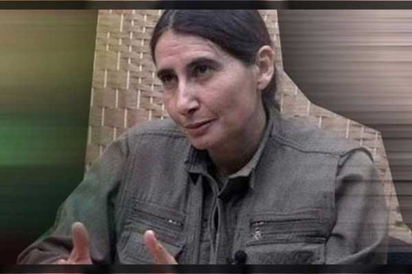 Öldürülen PKK'lı kadının son sözleri: Sıkışıp kaldık