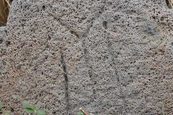 Hatay’da Kayı Boyu damgalı mezar taşları bulundu