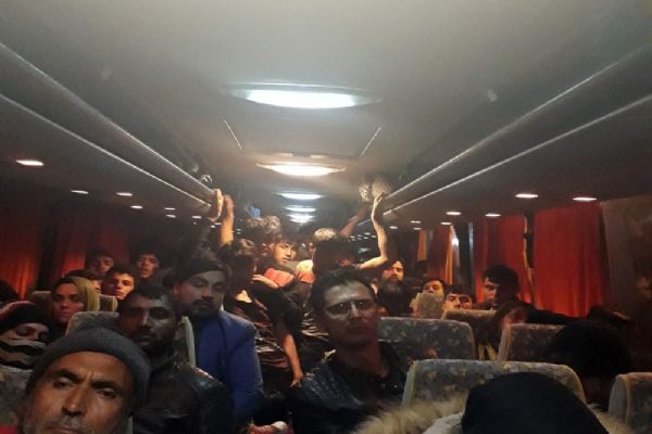 Ağrı'da 294 kaçak göçmen yakalandı