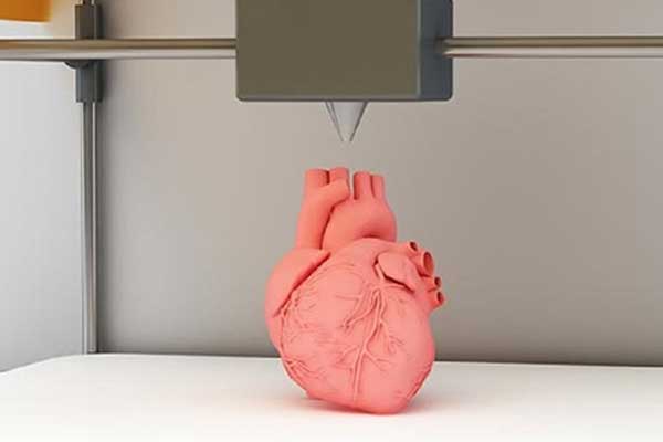 3D yazıcı ile insan organı üretecekler