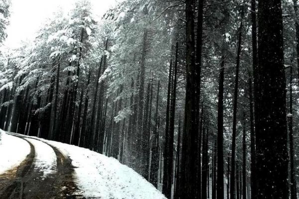 Kazdağlarından kar manzaraları