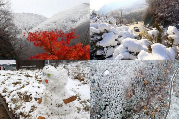 Güney Kore Kış Olimpiyatları'na hazır
