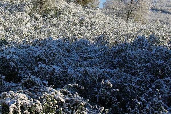 S-400'lerin teslimatı için tarih verildi