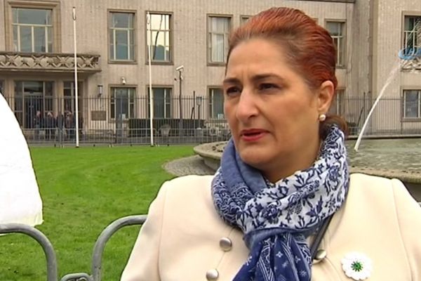 'Bosna soykırımında BM ve NATO'nun da parmağı var'