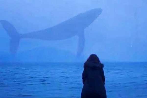 Uzmanlardan 'mavi balina oyunu' uyarısı