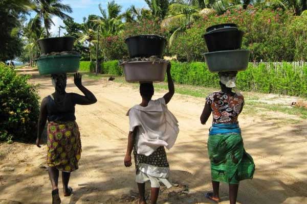 Mozambik'te ikinci el kıyafet ve araçlara vergi uygulaması