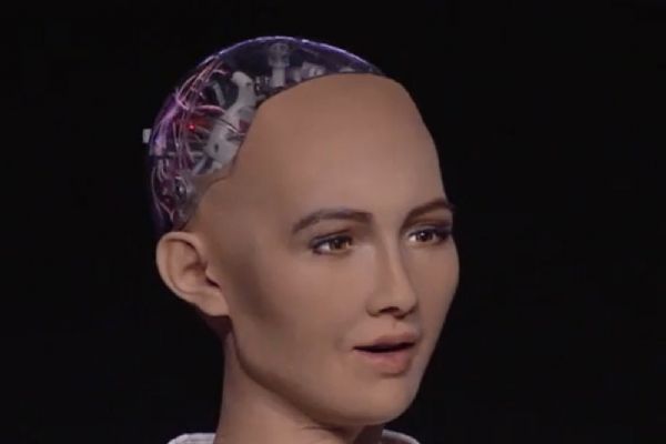 Sophia, aile kurmak istiyor