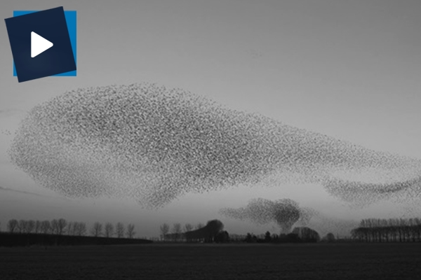 'Gökyüzünde sanat' paylaşım rekorları kırıyor