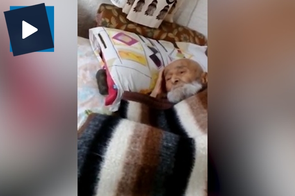 Kendini öldü zanneden eli öpülesi dede