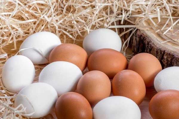 Yumurta satışında yeni dönem