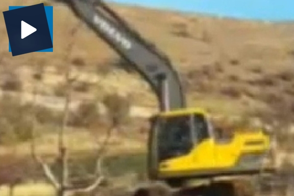 İş makinelerine sabah sporu