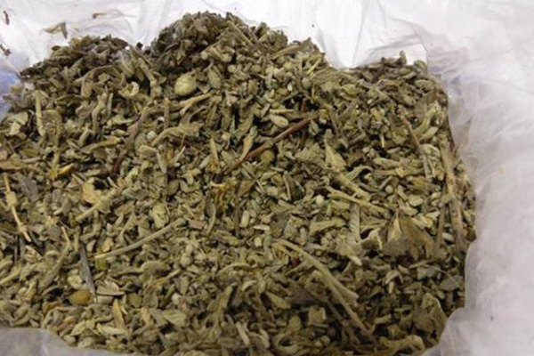 Bonzai kullanan 14 yaşındaki çocuk hastanelik oldu