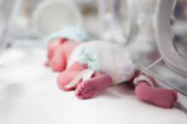 Toprağa verilecekti, bir anda hareket etti