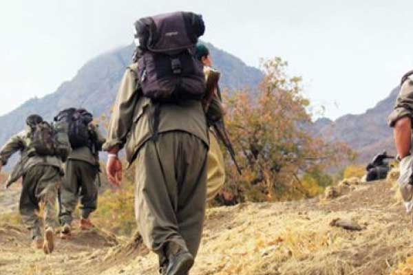 Bingöl'de 5 terörist etkisiz hale getirildi