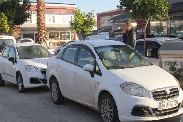 İkiz plakalı araçlar art arda park edince...