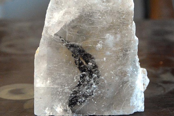 Kaya tuzundan fosil çıktı