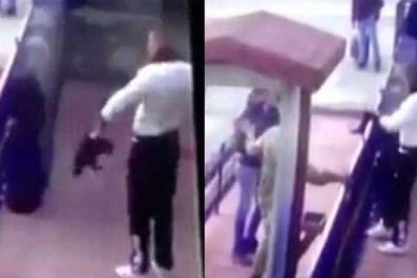 Kediye şiddet AYM'ye gidiyor